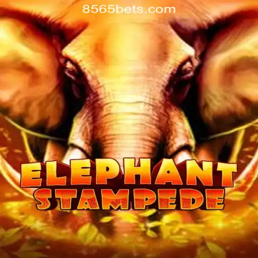 Exploring the Exciting World of ElephantStampede Slots on 8565BET.COM Oficial Slots Brasil #1