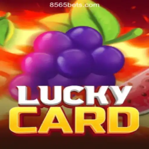 Unveiling the Excitement of LuckyCard: Brazil's Leading Slot Game